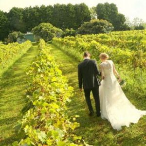 bride groom in vineyard wedding receptions